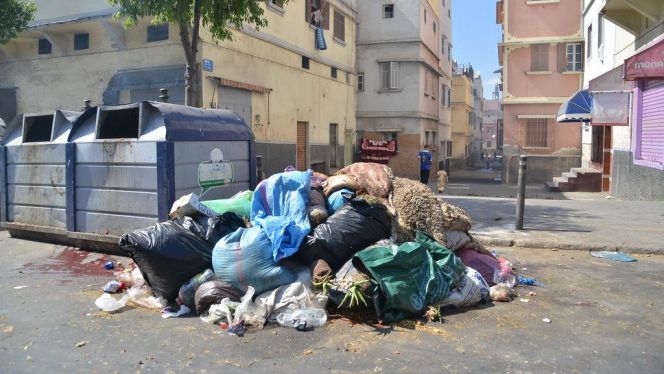 الأزبال في عيد الأضحى الأزبال في عيد الأضحى