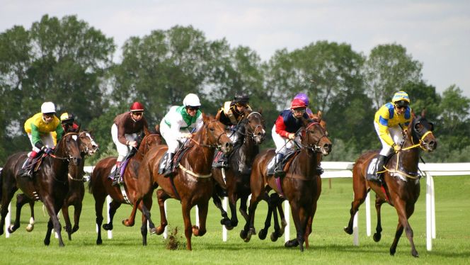 سباق الخيول سباق الخيول