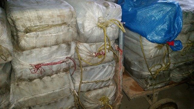 إحراق كوكايين بطنجة 2 إحراق كوكايين بطنجة 2