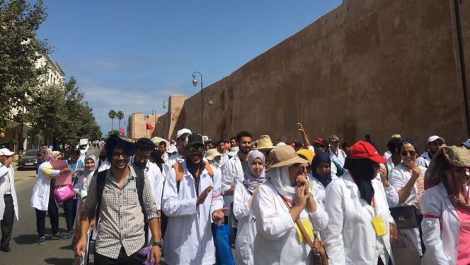 الأساتذة المتعاقدون الأساتذة المتعاقدون