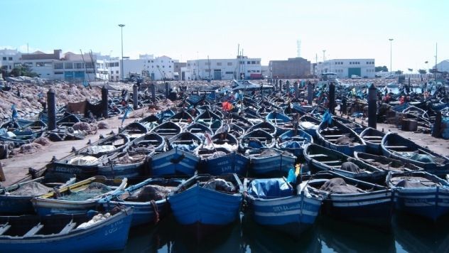 قوارب الصيد قوارب الصيد
