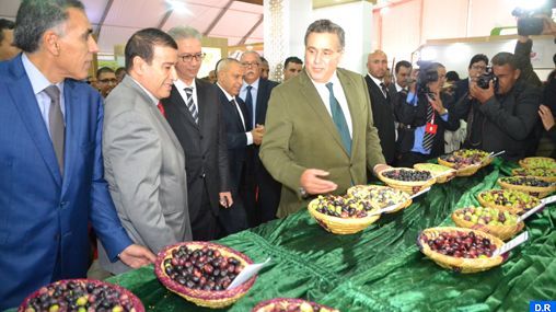 أخنوش معرض الزيتون أخنوش معرض الزيتون
