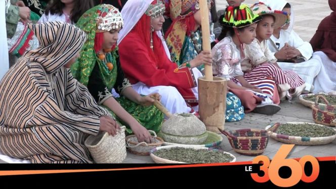 غلاف فيديو -تارودانت تتزين بالحِنَّاء من أجل تثمينه وتسويقه دوليا غلاف فيديو -تارودانت تتزين بالحِنَّاء من أجل تثمينه وتسويقه دوليا