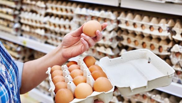 استهلاك البيض استهلاك البيض