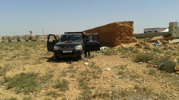 دجاج نافق بتيزنيت 4 دجاج نافق بتيزنيت 4