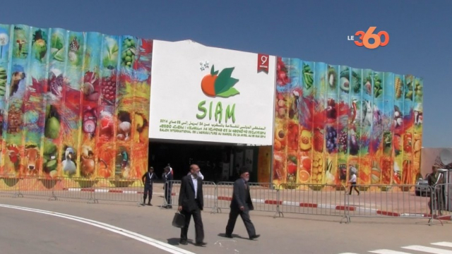 Cover Video - SIAM 2 Cover Video - SIAM 2