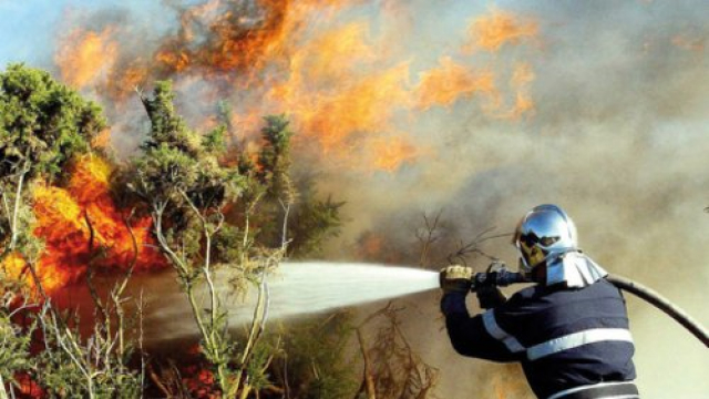 Feu de forêt Feu de forêt
