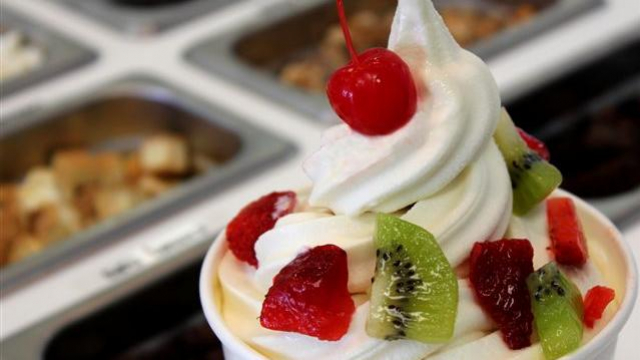 frozen yoghourt frozen yoghourt