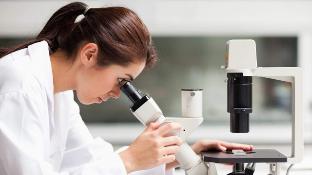 Dissertation sur la recherche scientifique