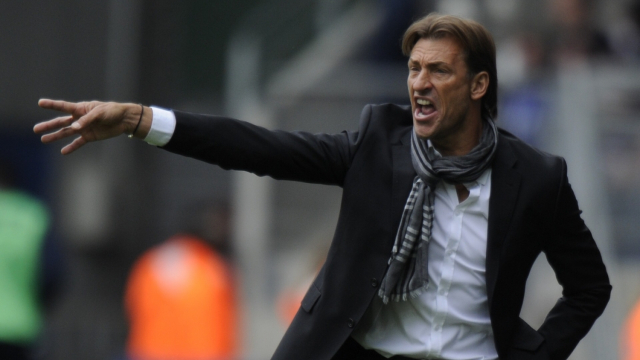 hervé renard hervé renard
