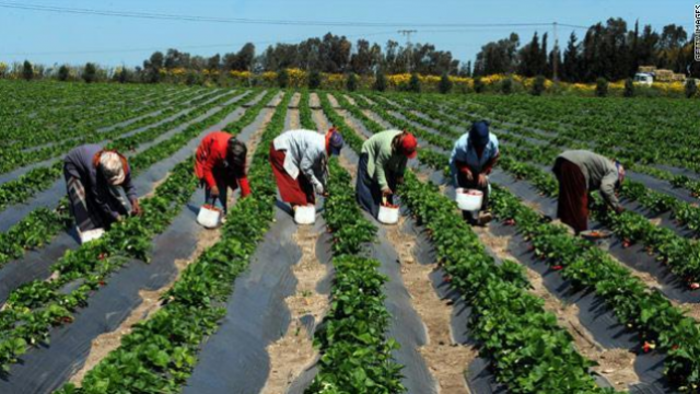 Sénégal 402 fermes agricoles seront créées d’ici 2018  www.le360.ma