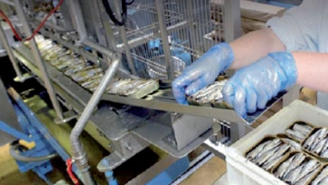 Industrie conserves poisson Industrie conserves poisson