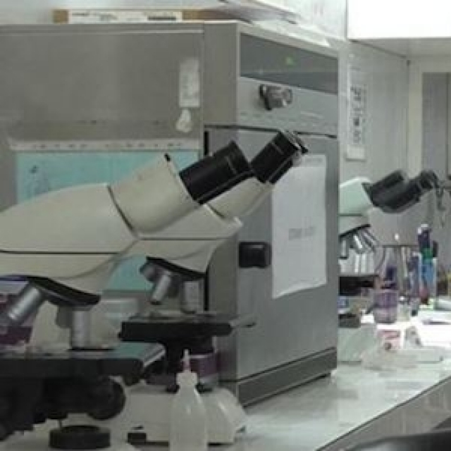 R&D R&D