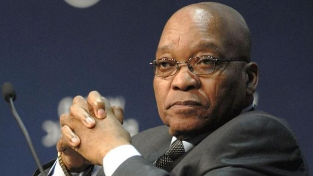 Zuma Zuma