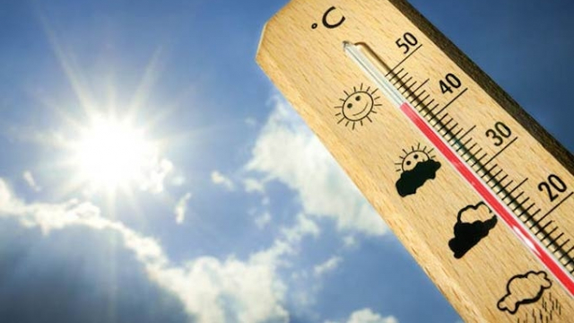 canicule canicule