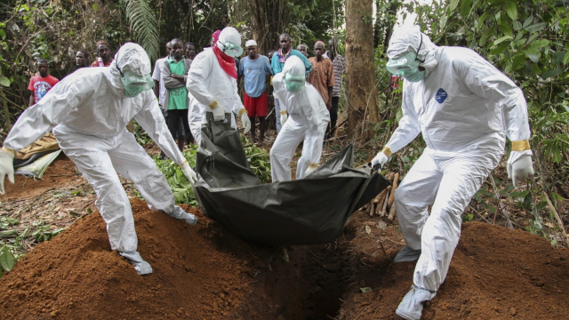 Ebola: enfin un vaccin "jusqu'à 100%" efficace 40 ans après les premiers cas Ebola: enfin un vaccin "jusqu'à 100%" efficace 40 ans après les premiers cas