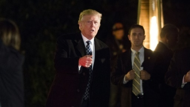 Trump New York Trump New York
