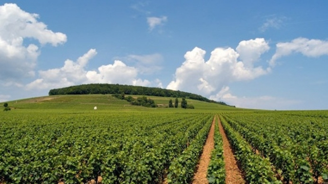 agriculture agriculture