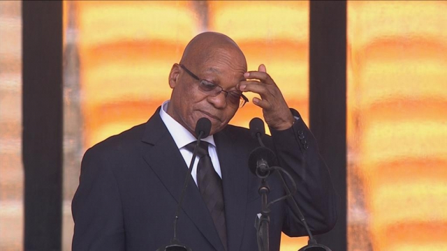 zuma zuma