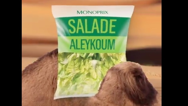 SALADE ALEYKOUM SALADE ALEYKOUM