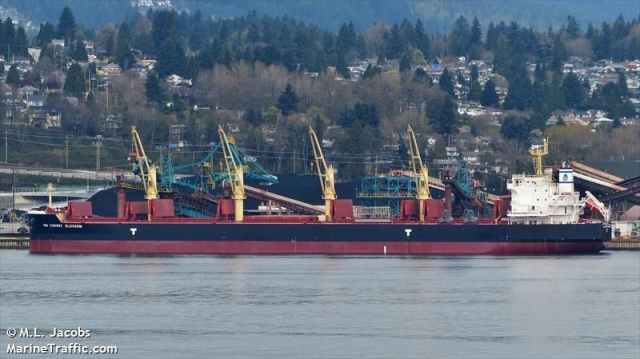 Cherry Blossom bateau phosphate Cherry Blossom bateau phosphate