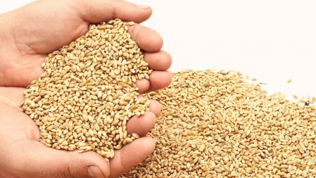 Zakat Al-Fitr Zakat Al-Fitr
