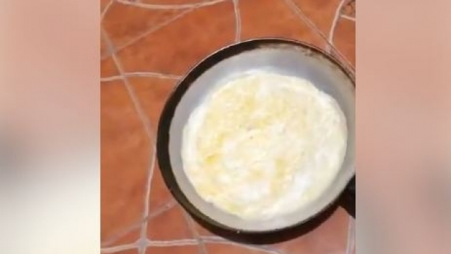 omelette omelette