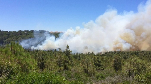 Feu de forêt Feu de forêt