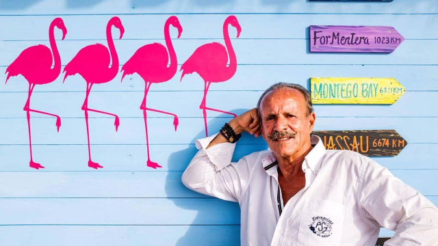 flamingo 3 flamingo 3