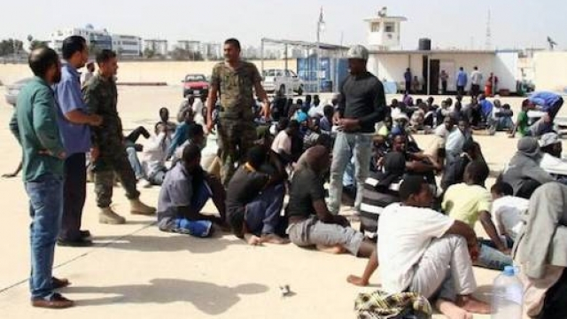migrants migrants