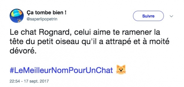 Chat 4 Chat 4