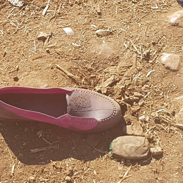 chaussure rose chaussure rose
