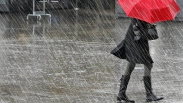 Parapluie Parapluie