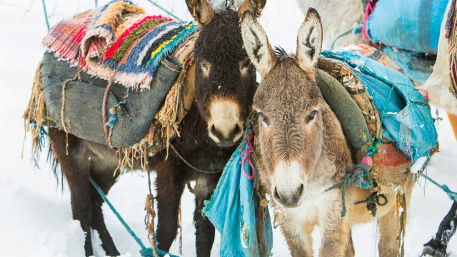 Météo Froid Maroc Khénifra Atlas Montagne Météo Froid Maroc Khénifra Atlas Montagne
