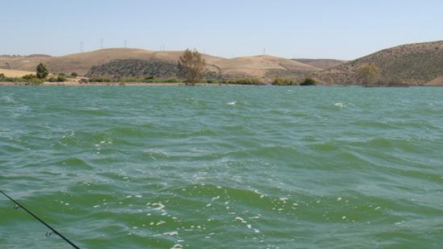 Barrage Sidi Mohamed Ben Abdellah Barrage Sidi Mohamed Ben Abdellah