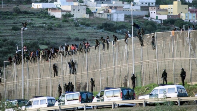 migrants migrants