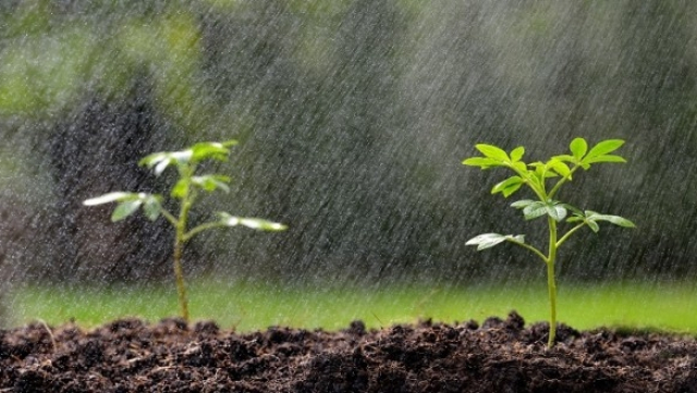 Pluies-agriculture Pluies-agriculture