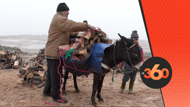 Cover Vidéo - أسعار حطب التدفئة تلهب جيوب سكان الأطلس Cover Vidéo - أسعار حطب التدفئة تلهب جيوب سكان الأطلس
