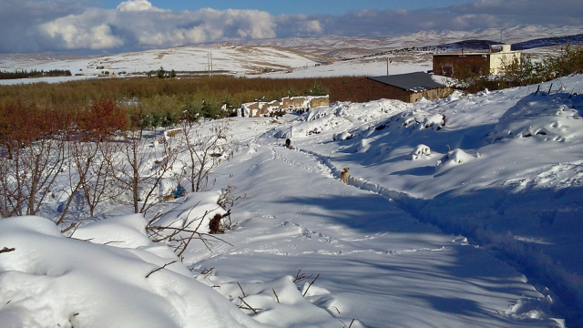 neige neige