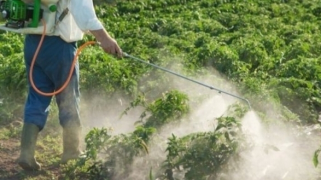Pesticides Pesticides