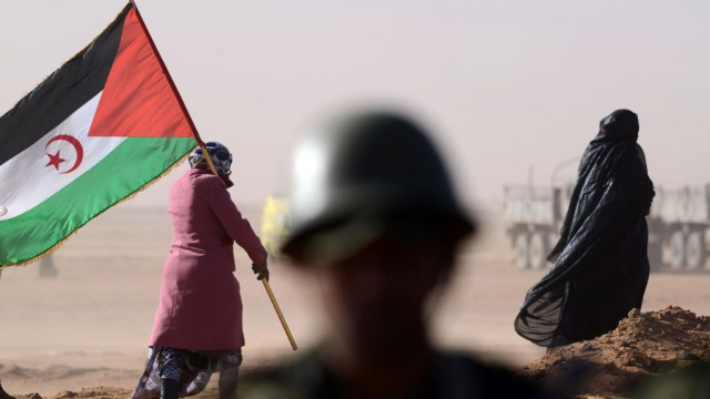 Polisario Hezbollah Polisario Hezbollah
