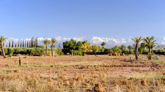 terrain Marrakech terrain Marrakech