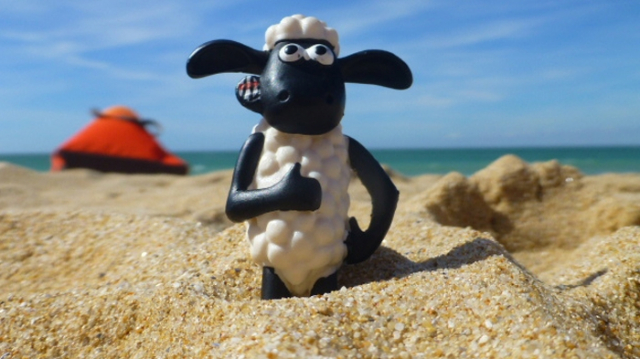 Mouton à la plage Mouton à la plage