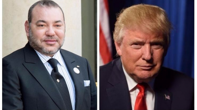 roi-trump roi-trump