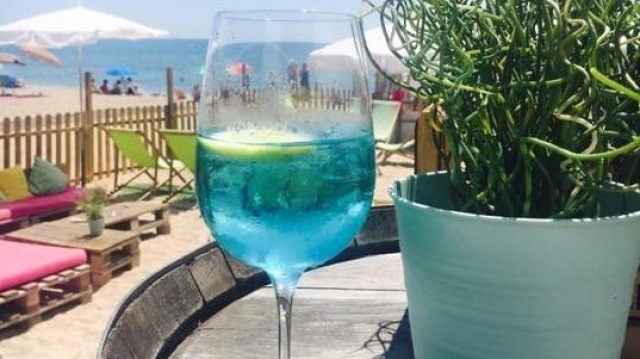 vin bleu vin bleu