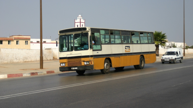 Bus Salé Bus Salé