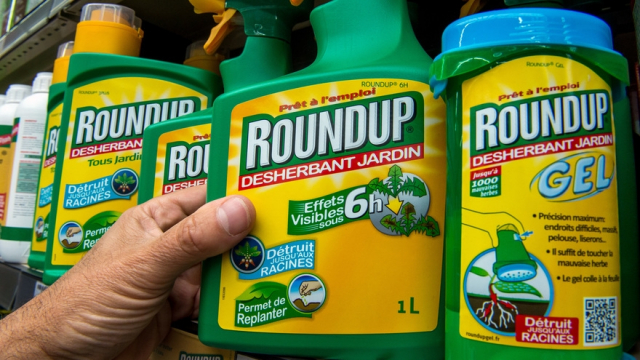 Round up Monsanto herbicide Round up Monsanto herbicide