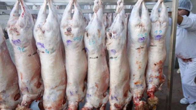 Abattoir mouton aid Abattoir mouton aid