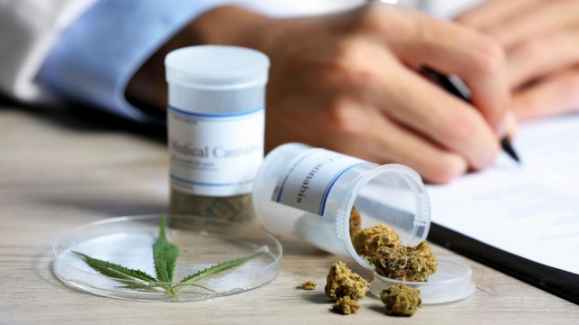 cannabis médical cannabis médical