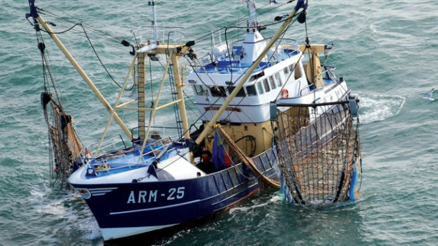 Pêche maritime Pêche maritime
